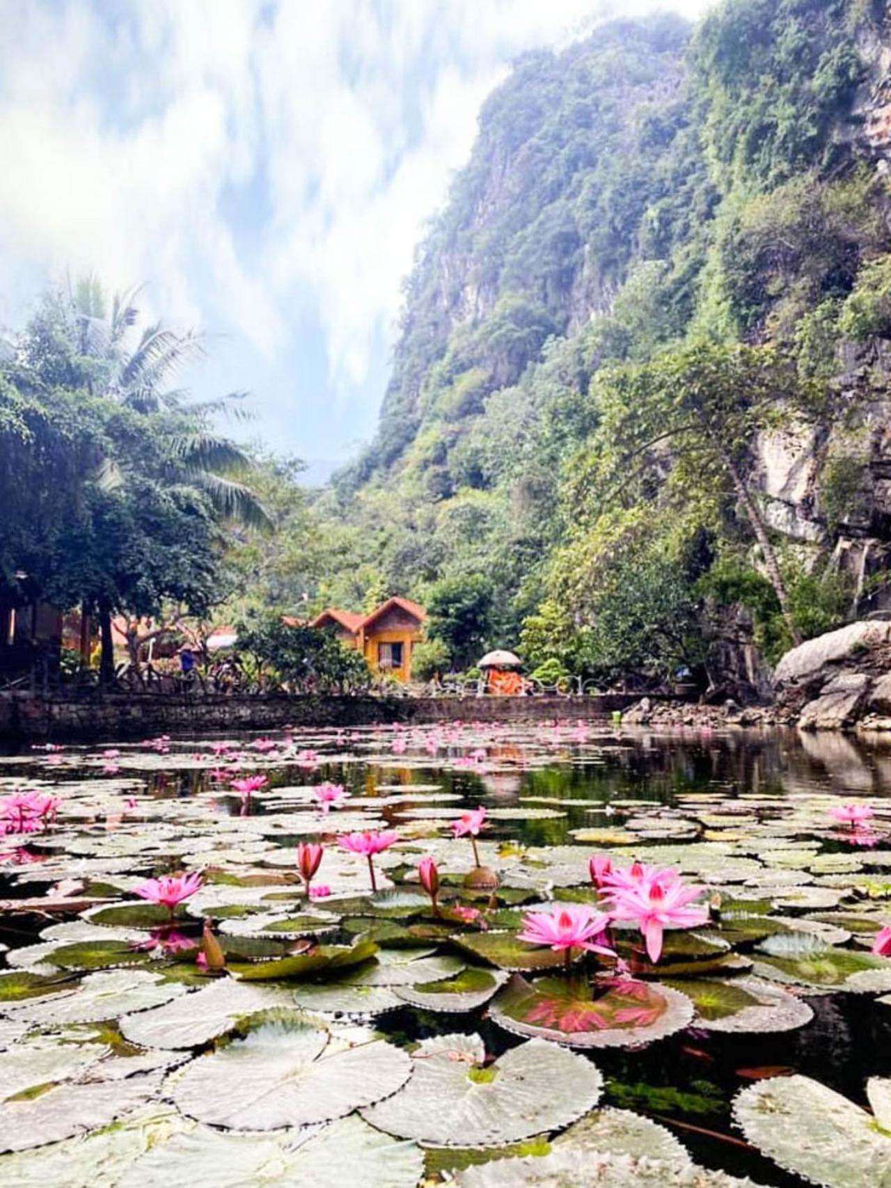 Tam Coc Rocky Bungalow Ninh Binh Bagian luar foto