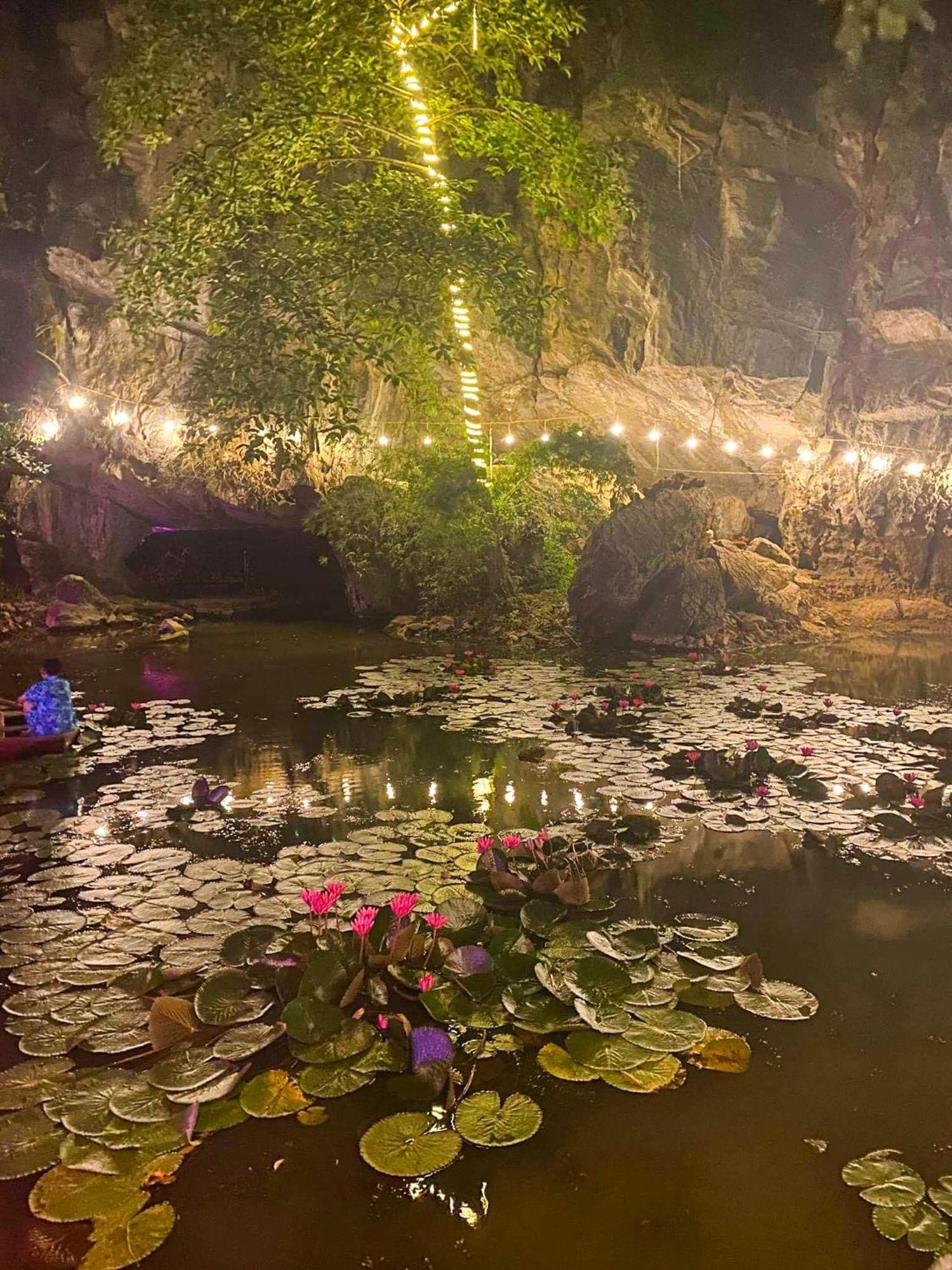 Tam Coc Rocky Bungalow Ninh Binh Bagian luar foto